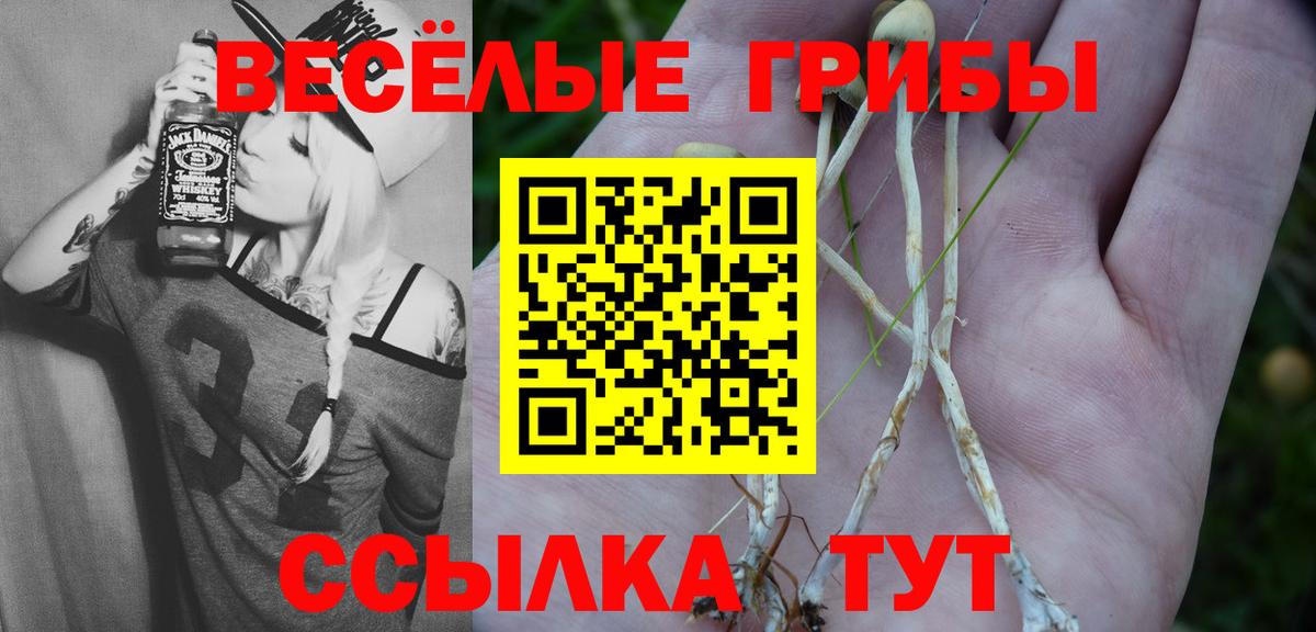 Старая Русса  Галлюциногенные грибы Psilocybine cubensis  Вход с VPN 